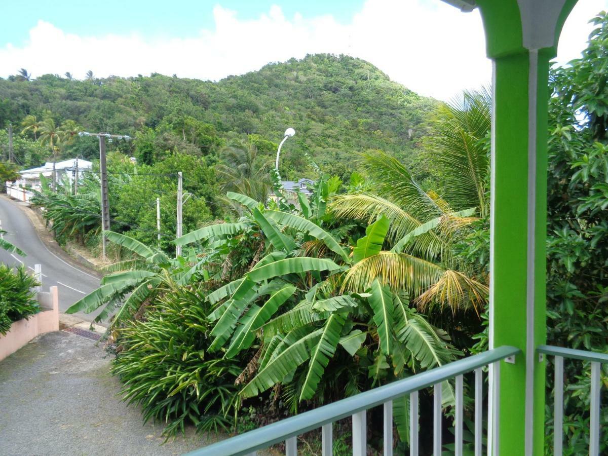 Appartement Jardin Bananier à Deshaies Extérieur photo